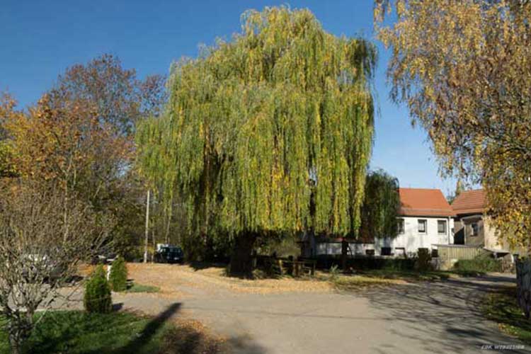 Treffpunkt Dreieck